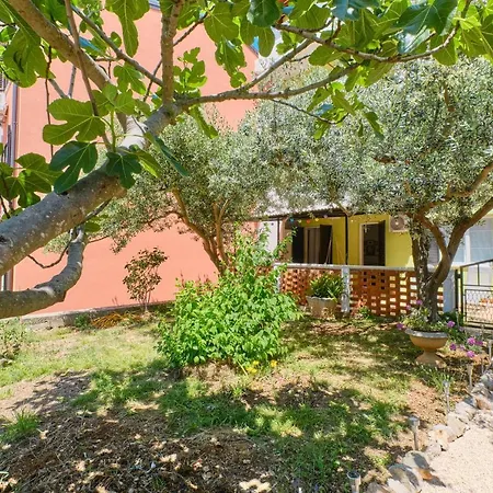 Apartament Dairos2 *