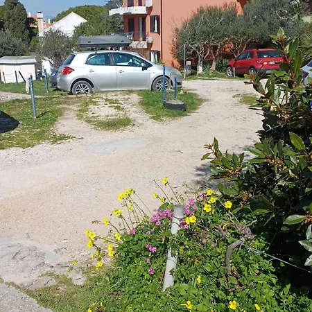 Dairos2 Mali Lošinj