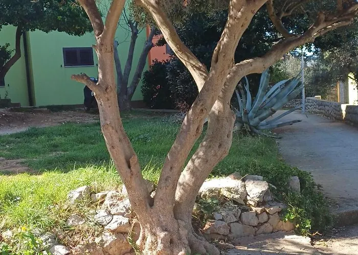 アパート Dairos2